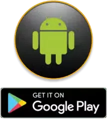 MEGA Casino-google-play